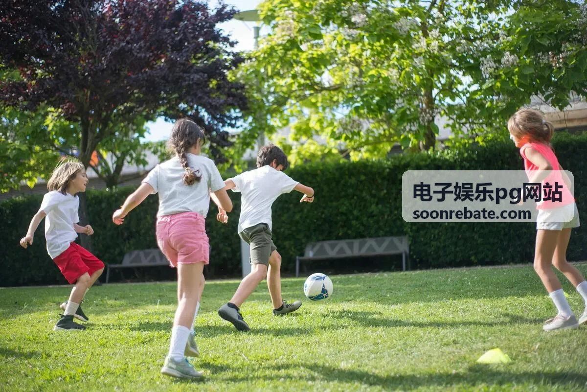 电子娱乐pg网站内容分类与登记入口背景