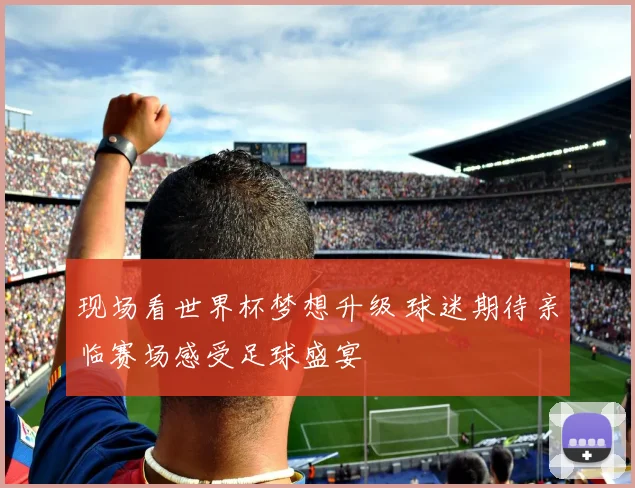 现场看世界杯梦想升级 球迷期待亲临赛场感受足球盛宴