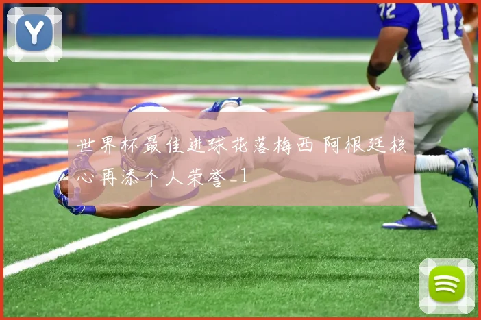 世界杯最佳进球花落梅西 阿根廷核心再添个人荣誉_1